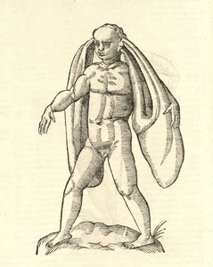 ilustrace Homo Fanesius auritus z Aldrovandis History of Monsters, 1642 od Italian School