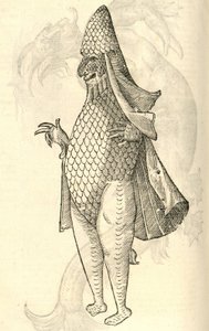 ilustrace Monstro Marinus z Aldrovandis History of Monsters, 1642 od Italian School