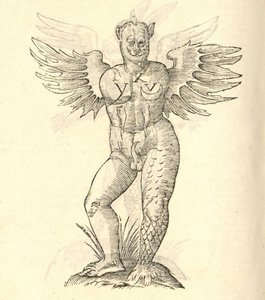 ilustrace okřídleného monstra z Aldrovandis History of Monsters, 1642 od Italian School