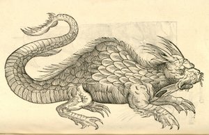 ilustrace podobizen Orobonis Piscis z Aldrovandis History of Monsters , 1642 od Italian School