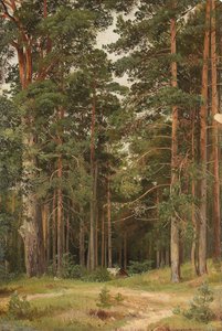 Letní den, Merikiul, 1895 od Ivan Ivanovich Shishkin
