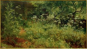 Giersch. Pargolowo od Ivan Ivanovich Shishkin