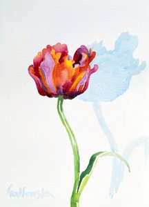 Tulip, 1998 (wc na papíře) (viz také 124446 & 124448) od Izabella Godlewska de Aranda