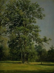 Dub. Pohled do zahrady ve Wörlitz u Dessau od Johan Christian Dahl