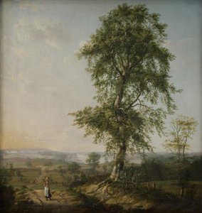 Krajina s velkým stromem od Johan Christian Dahl