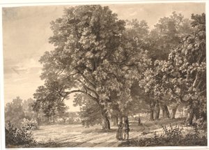Pohled na silnici v lese poblíž Sorø, Zéland od Johan Christian Dahl