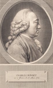 Charles Bonnet od J.F. Clemens