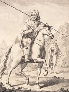 Arab na koni od J.F. Clemens