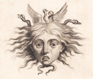 Medusahoved od J.F. Clemens