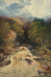 Horský les od J.H. Stanger