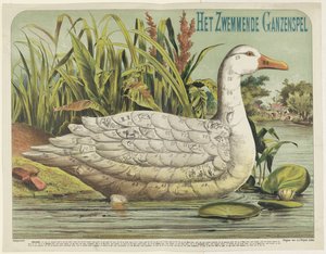 Hra Swimming Goose (název na předmětu) od J.J. Sleijser