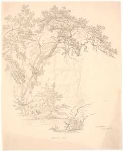 Stromy od J.P. Møller