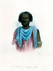 Melik ze Shegyia Arabs, c1840. od J. Bull