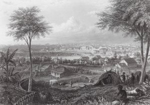 Austrálie: Brisbane (rytina) od J. C. Armytage