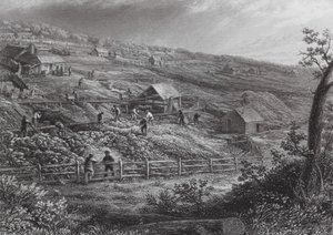 Austrálie: Concordia Gold Mines (rytina) od J. C. Armytage