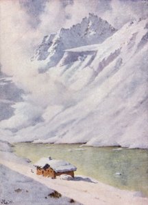 Domov laviny