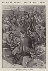 Sezóna ořechů na Covent Garden Market, Londýn (litho)