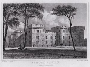 Enmore Castle, Somersetshire (rytina) od John Preston Neale