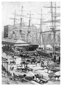 Shipping, Circular Quay, Sydney, New South Wales, Austrálie, 1886.
