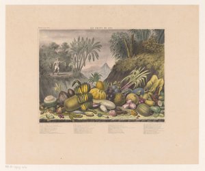 Jávské ovoce Les Fruits de Java (název na objektu) od J. Schnell