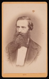 Portrét Mordecai Cubitt Cooke 1825-1914, 1873. od J Stegmann