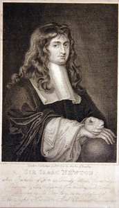 Sir Isaac Newton od J. T. Wedgewood
