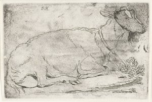 ležící koza od Jabes Heenck (signed by artist)