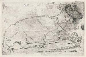 ležící koza od Jabes Heenck (signed by artist)