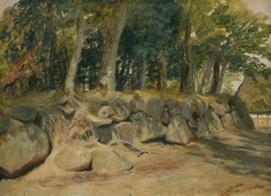 Kamenná zeď v Sottorf, 1839 (olej na papíře na kartičce)