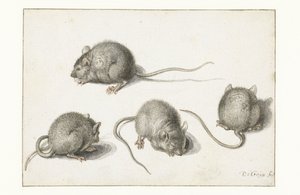 Čtyři studie nemocné myši