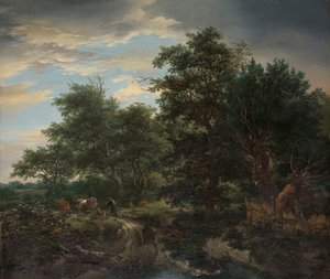 Lesní scéna od Jacob van Ruisdael