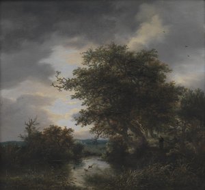Duby u rybníka od Jacob van Ruisdael