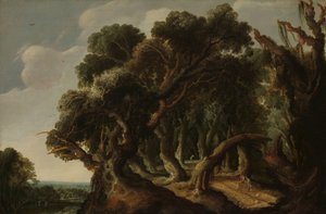 Zalesněná krajina Krajina od Jacob Jacobsz van Geel (signed by artist)