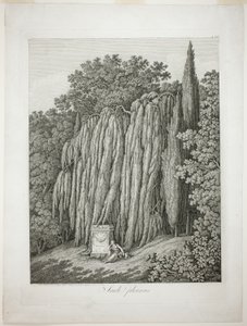 Plačící vrba od Jacob Philipp Hackert