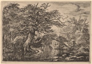 Lesní močál s cestovateli na břehu (The Travelers) od Jacob van Ruisdael