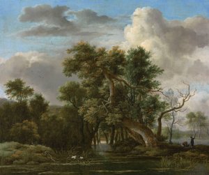 Lesní bazén od Jacob van Ruisdael