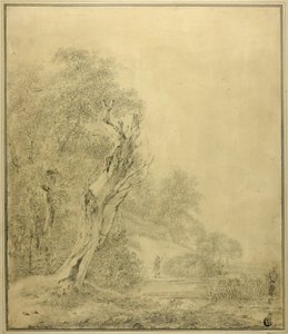 Mrtvý strom na okraji vody, postava blížící se s tyčí od Jacob van Ruisdael
