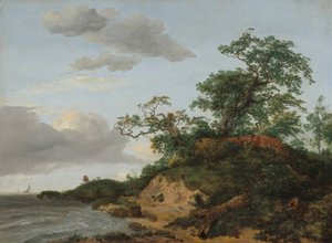 Duny u moře od Jacob van Ruisdael