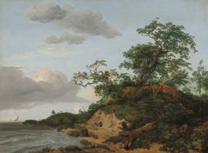 Duny u moře, 1648. od Jacob van Ruisdael