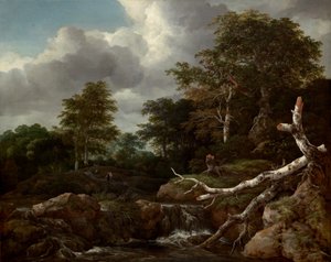 Lesní scéna, c. 1655. od Jacob van Ruisdael