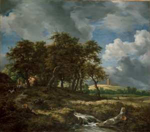 Krajina poblíž Muiderbergu, počátek 50. let 17. století od Jacob van Ruisdael