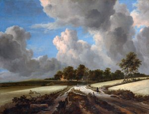 Pšeničná pole od Jacob van Ruisdael
