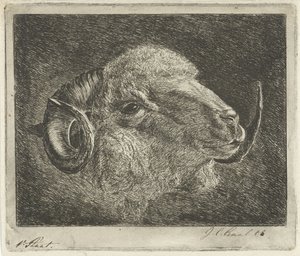 Hlava berana s rohy otočená dozadu od Jacobus Cornelis Gaal (signed by artist)