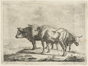 Tři voli od Jacobus Cornelis Gaal