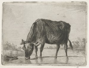 pitná kráva od Jacobus Cornelis Gaal