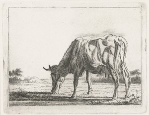 pasoucí se kráva od Jacobus Cornelis Gaal