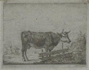 Kráva stojící u plotu od Jacobus Cornelis Gaal