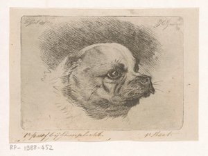 Hlava mopse od Jacobus Cornelis Gaal