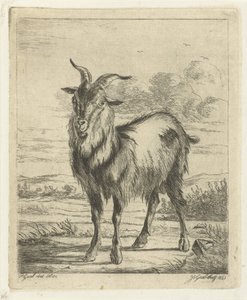 stojící koza od Jacobus Cornelis Gaal