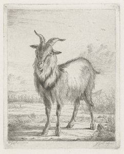 stojící koza od Jacobus Cornelis Gaal